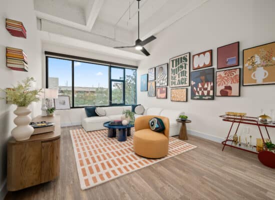 Eclectic High Rise Model photographed in Houston